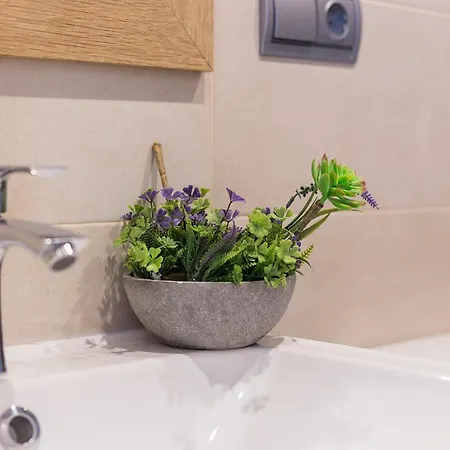 San Jose 2 Banos * カディス