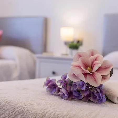 San Jose 2 Banos Apartment